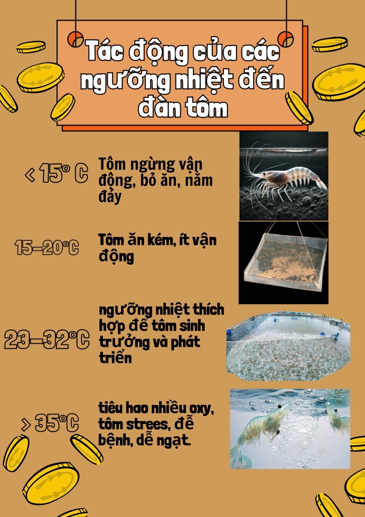 Việt Nhật Aqua Group